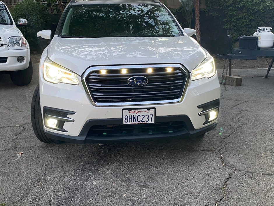 David Blumberg's 2019 Ascent Limited