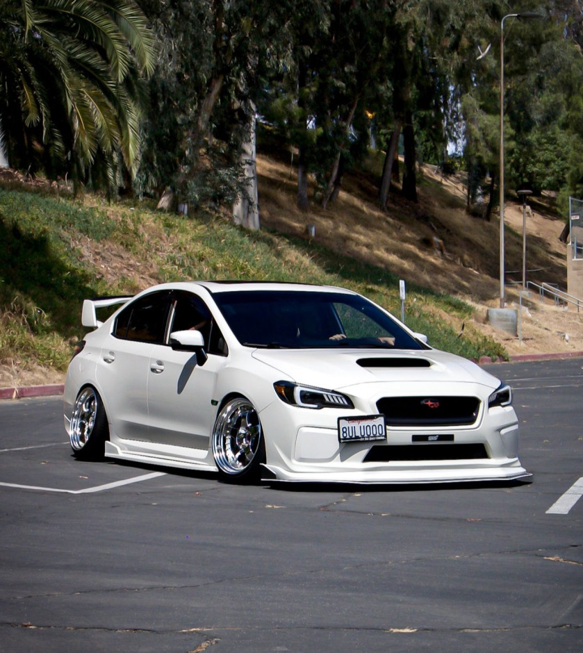 Cameron S's 2017 Impreza WRX STI Limited 