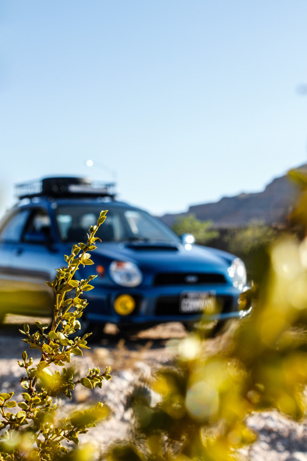 Connor Wiggins's 2002 Impreza WRX Wagon 