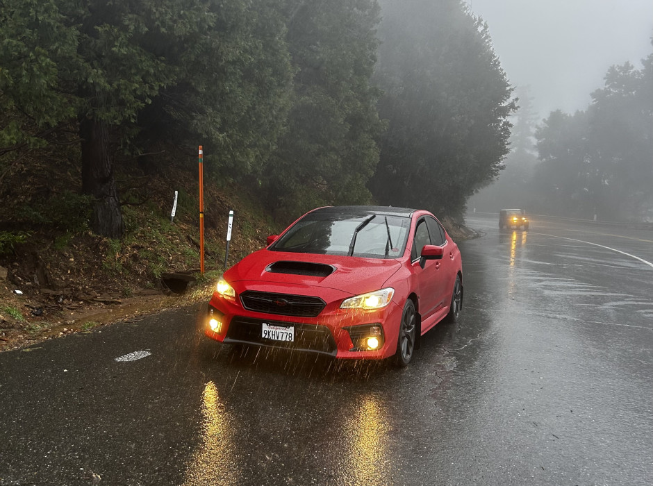 David G's 2019 Impreza WRX Premium