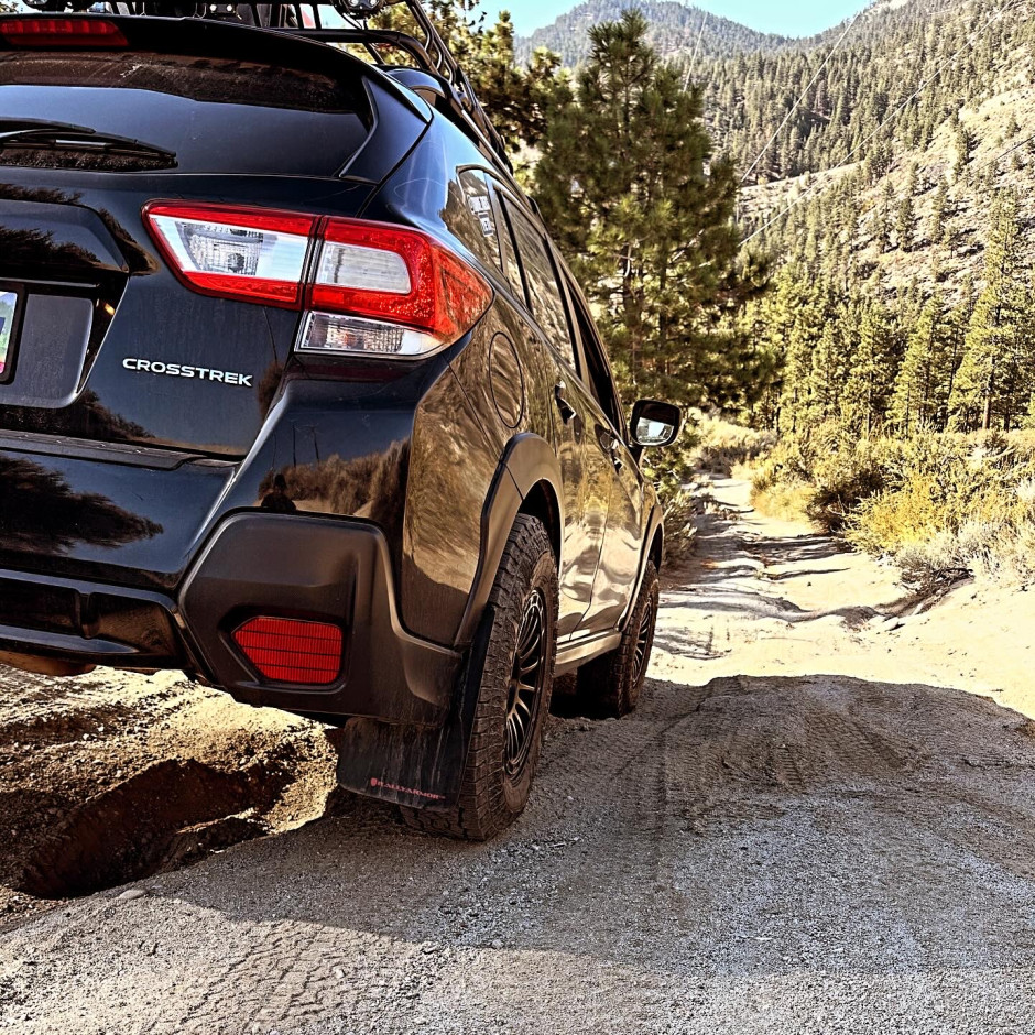 Cameron Mckay's 2019 Crosstrek Premium