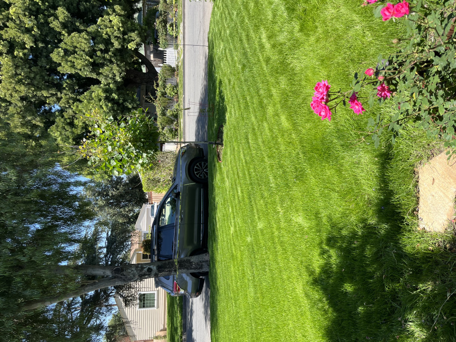 Lynne Z's 2017 Forester Touring Turbo