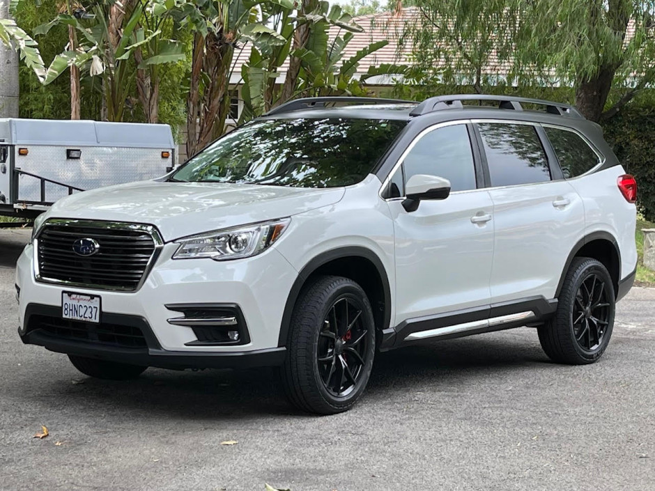 David Blumberg's 2019 Ascent Limited