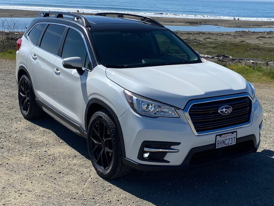 David Blumberg's 2019 Ascent Limited