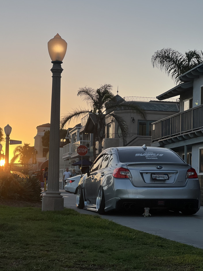 Franklin  C's 2019 Impreza WRX Base