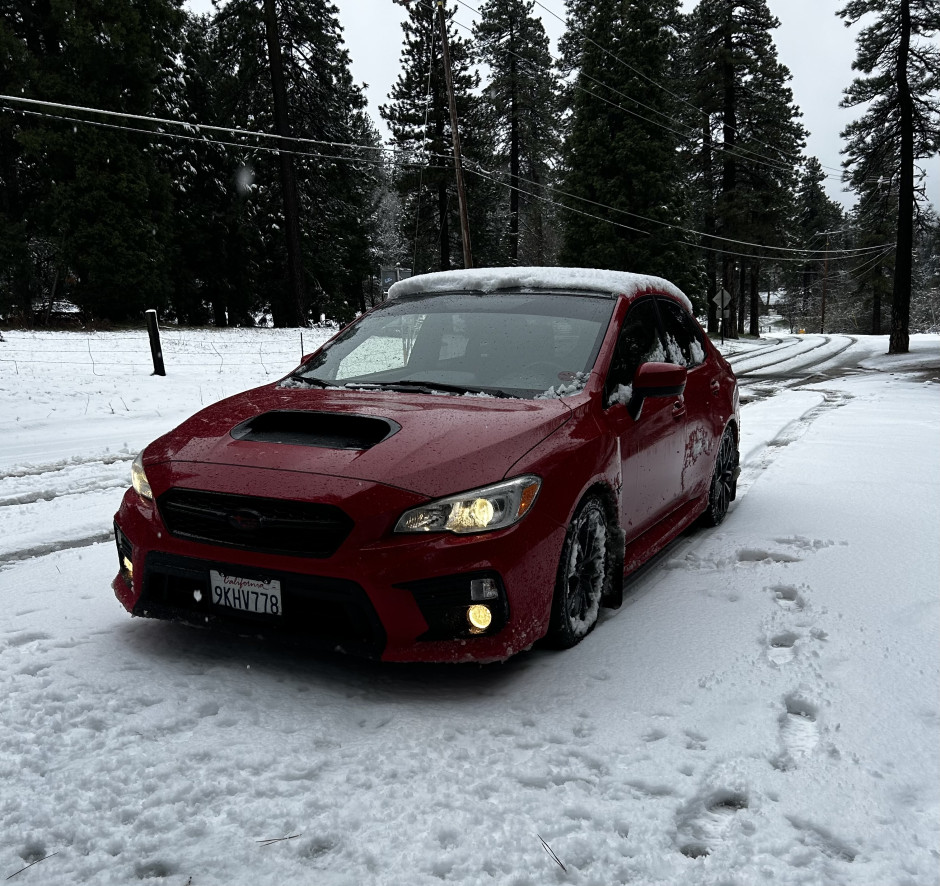 David G's 2019 Impreza WRX Premium