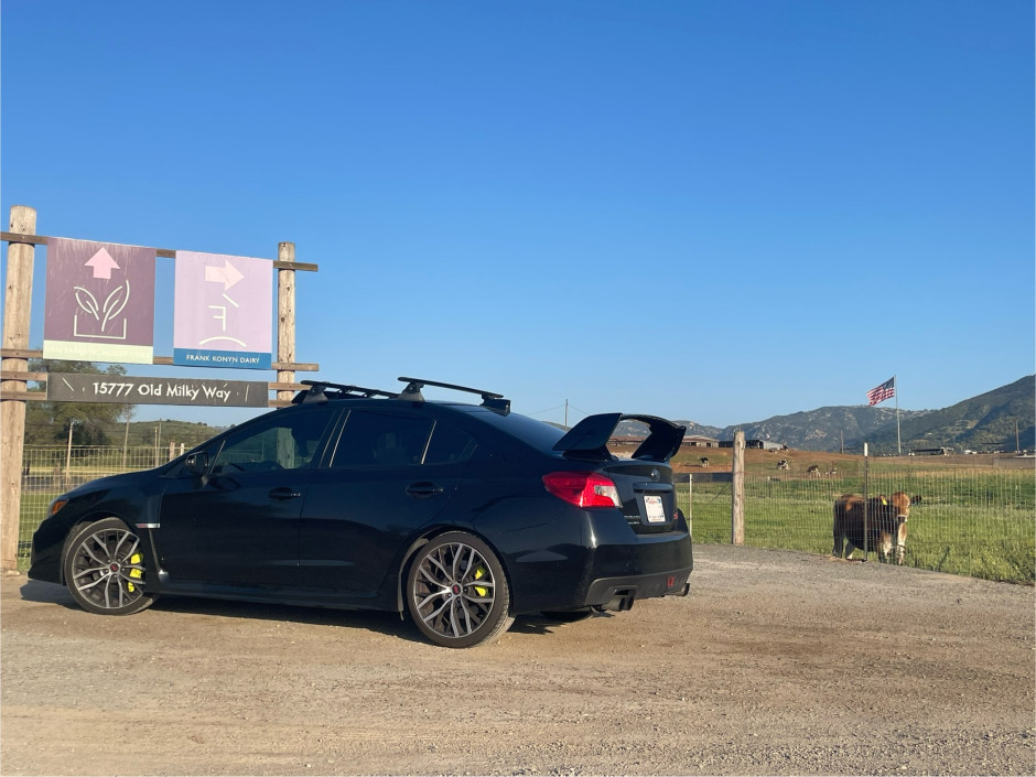 Jennifer C's 2021 Impreza WRX STI Premium