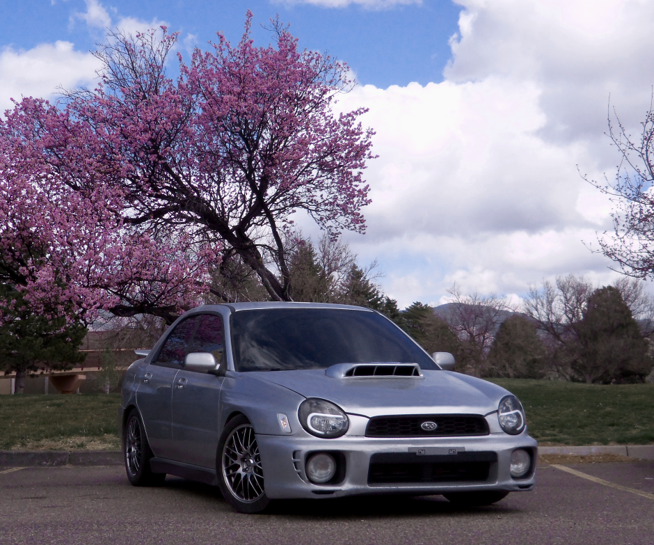 Darrion R's 2002 Impreza WRX 