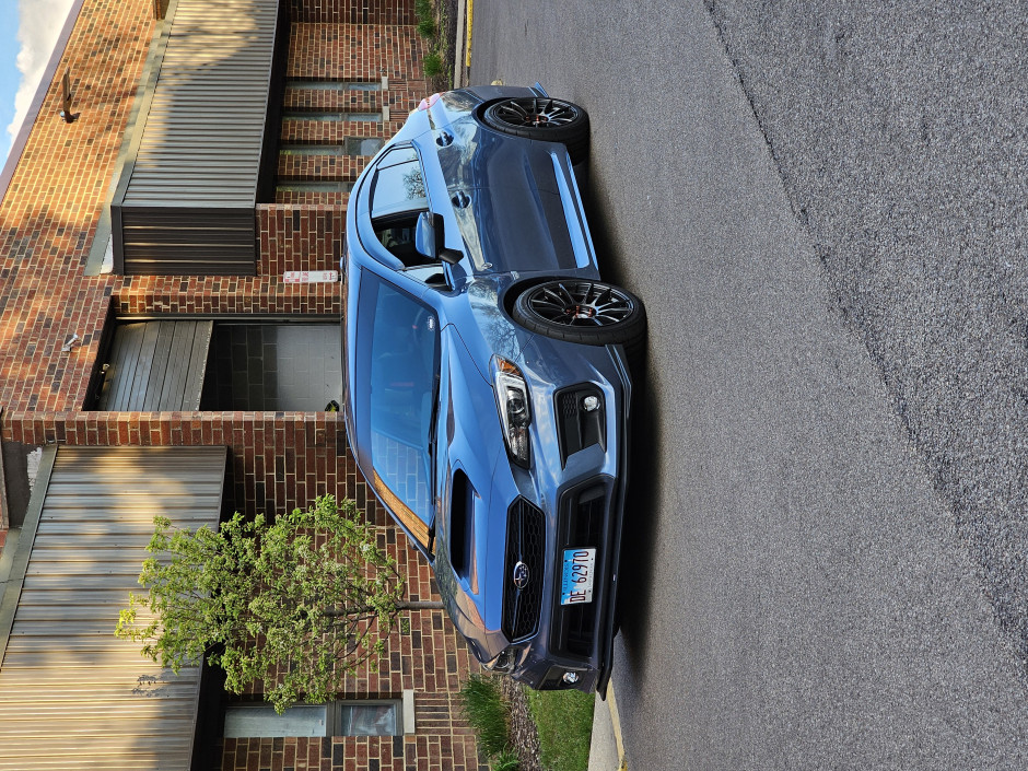 Andrew R's 2018 Impreza WRX Limited 