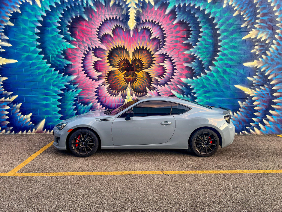 Paola H's 2019 BRZ Series Grey