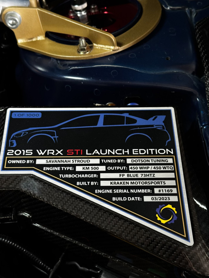 Savannah  Stroud's 2015 Other Sti launch edition 